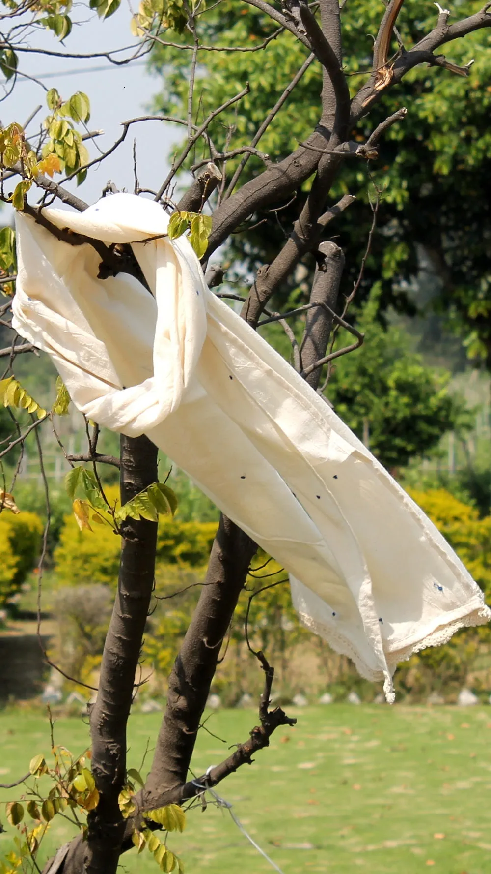 Masakali polka embroidered stole