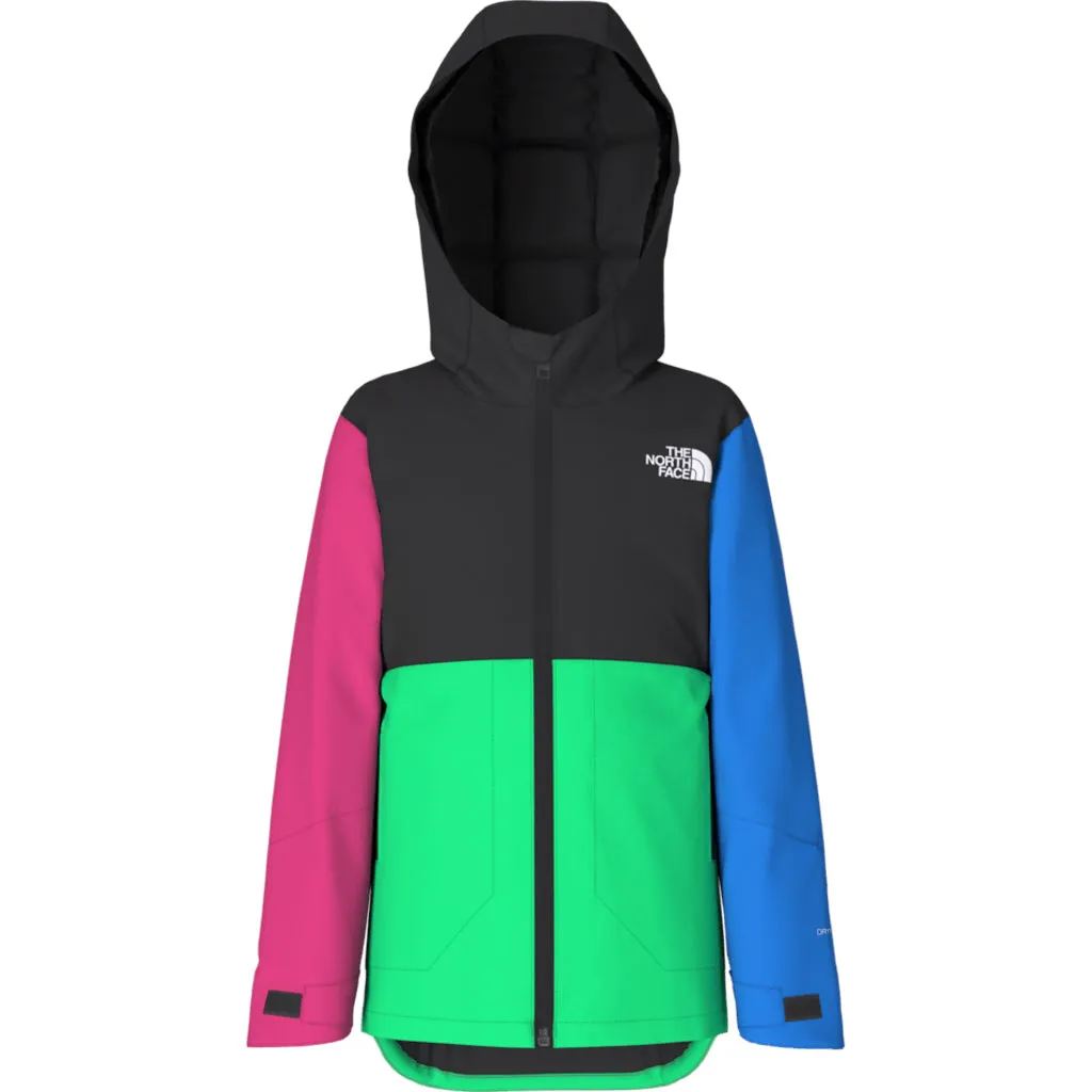 North Face Freedom Insulated Jacket (NF0A82YJ) Kids 2024